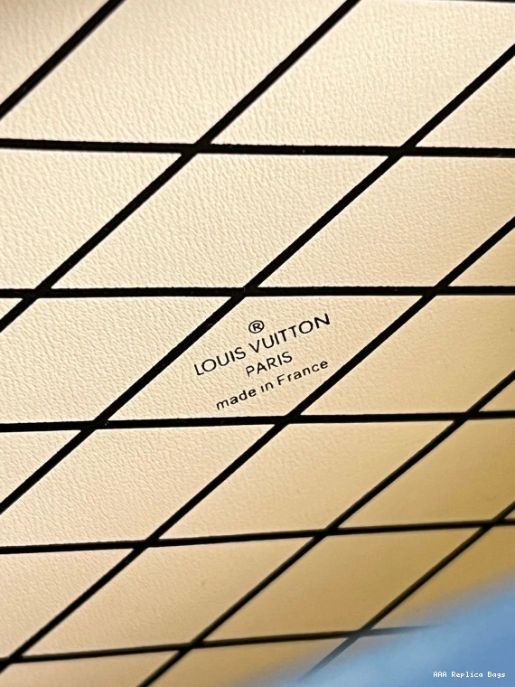 Aaa replica bags LOUIS VUITTON PETITE MALLE 0808